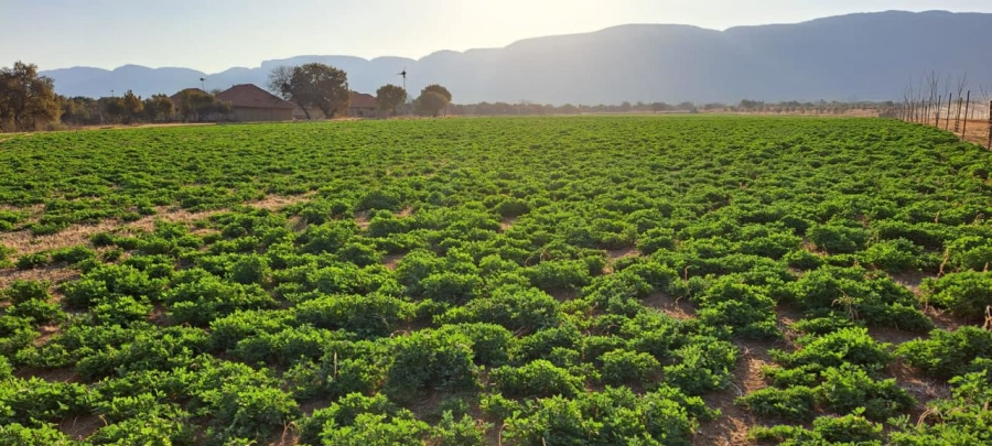 6 Bedroom Property for Sale in Remhoogte AH North West